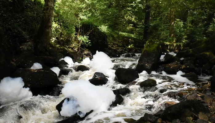 Une décision de justice  reconnaît le préjudice écologique sur la Montane (Corrèze), un cours d'eau pollué en 2015 - Crédit photo : © Pollution de la Montane (archives) © Agence TULLE